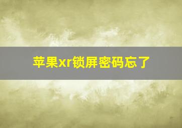 苹果xr锁屏密码忘了