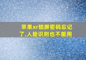 苹果xr锁屏密码忘记了,人脸识别也不能用