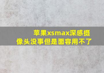 苹果xsmax深感摄像头没事但是面容用不了