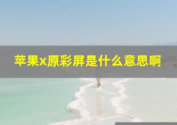 苹果x原彩屏是什么意思啊