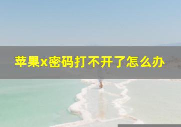 苹果x密码打不开了怎么办