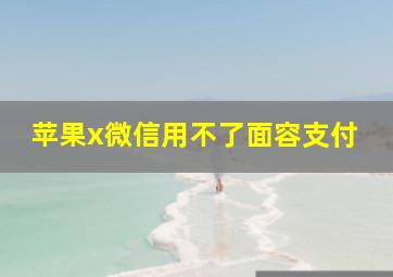 苹果x微信用不了面容支付