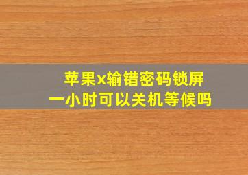 苹果x输错密码锁屏一小时可以关机等候吗