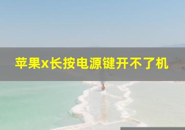 苹果x长按电源键开不了机