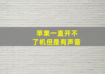 苹果一直开不了机但是有声音