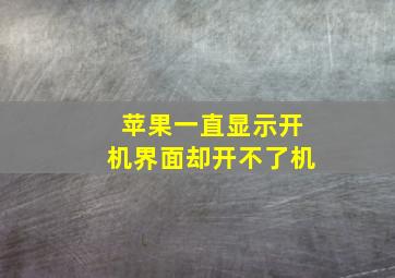 苹果一直显示开机界面却开不了机