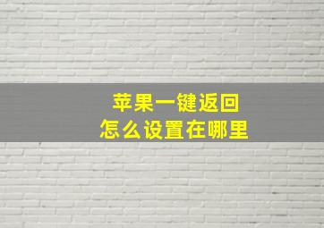 苹果一键返回怎么设置在哪里