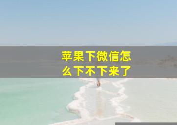 苹果下微信怎么下不下来了