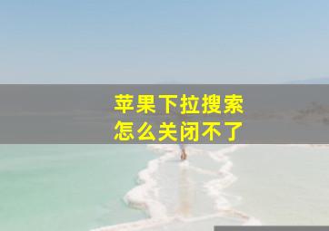 苹果下拉搜索怎么关闭不了