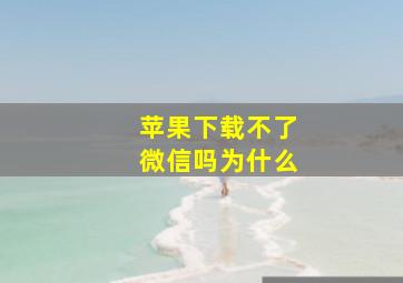 苹果下载不了微信吗为什么