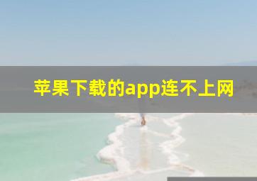 苹果下载的app连不上网