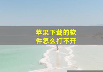 苹果下载的软件怎么打不开