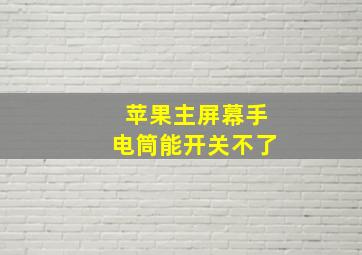 苹果主屏幕手电筒能开关不了