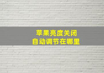 苹果亮度关闭自动调节在哪里