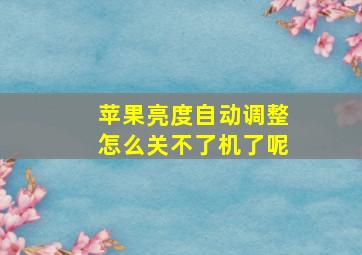 苹果亮度自动调整怎么关不了机了呢