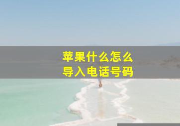 苹果什么怎么导入电话号码