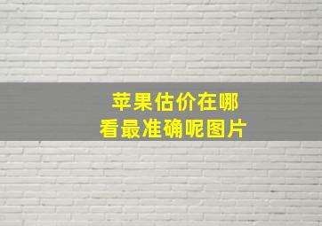 苹果估价在哪看最准确呢图片