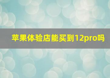 苹果体验店能买到12pro吗