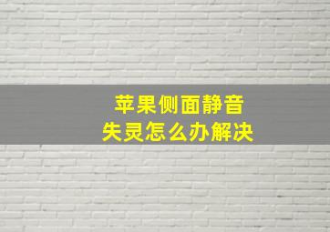 苹果侧面静音失灵怎么办解决