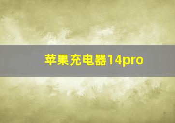 苹果充电器14pro