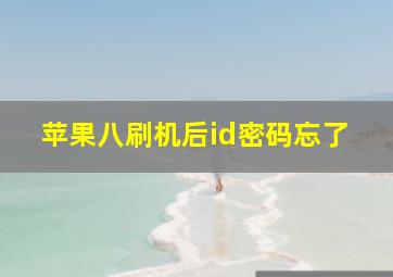 苹果八刷机后id密码忘了