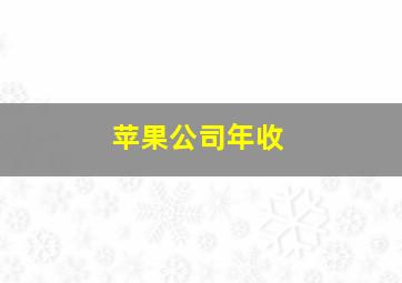 苹果公司年收