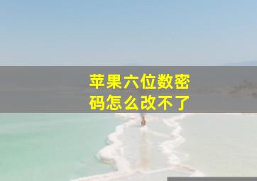 苹果六位数密码怎么改不了