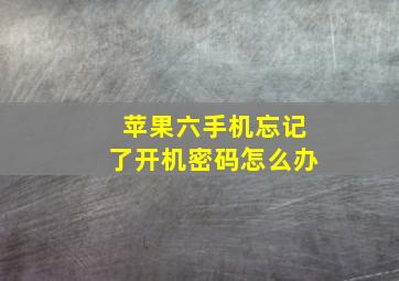 苹果六手机忘记了开机密码怎么办