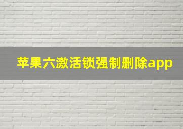 苹果六激活锁强制删除app