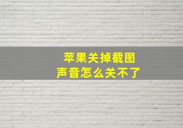 苹果关掉截图声音怎么关不了