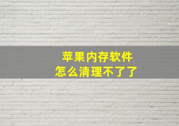 苹果内存软件怎么清理不了了