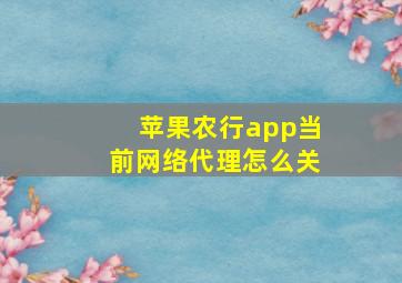 苹果农行app当前网络代理怎么关