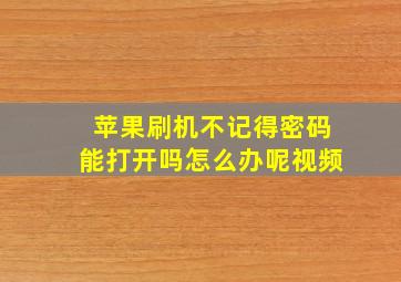 苹果刷机不记得密码能打开吗怎么办呢视频