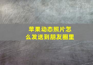 苹果动态照片怎么发送到朋友圈里