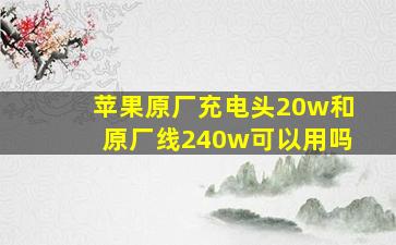 苹果原厂充电头20w和原厂线240w可以用吗