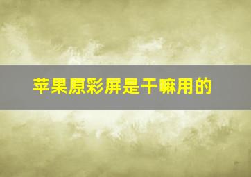 苹果原彩屏是干嘛用的