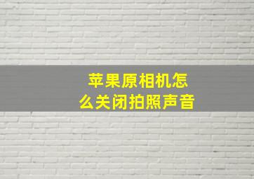 苹果原相机怎么关闭拍照声音