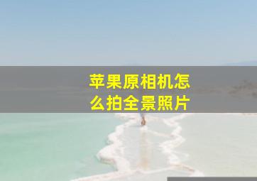 苹果原相机怎么拍全景照片