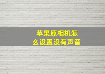 苹果原相机怎么设置没有声音