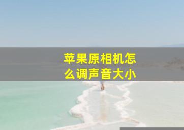 苹果原相机怎么调声音大小