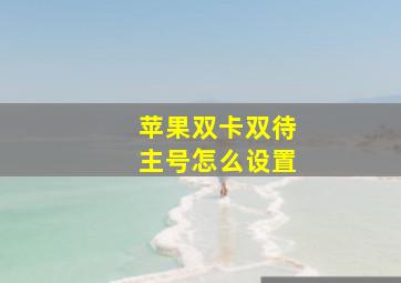 苹果双卡双待主号怎么设置