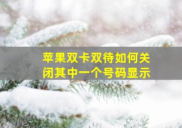 苹果双卡双待如何关闭其中一个号码显示