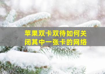 苹果双卡双待如何关闭其中一张卡的网络