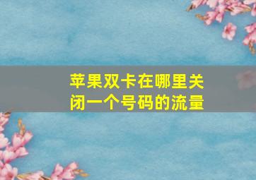 苹果双卡在哪里关闭一个号码的流量