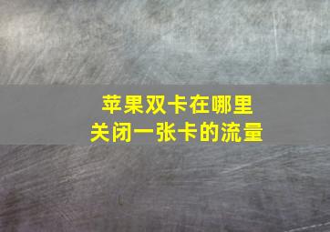 苹果双卡在哪里关闭一张卡的流量