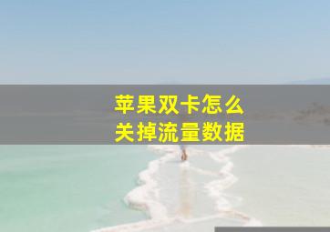 苹果双卡怎么关掉流量数据