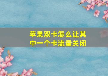 苹果双卡怎么让其中一个卡流量关闭