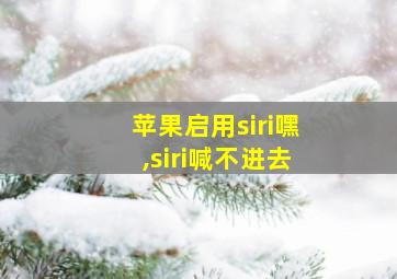 苹果启用siri嘿,siri喊不进去