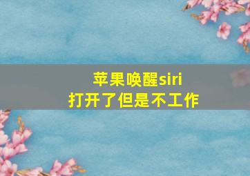 苹果唤醒siri打开了但是不工作