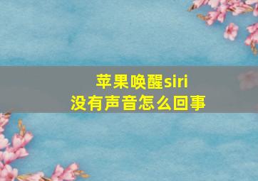 苹果唤醒siri没有声音怎么回事